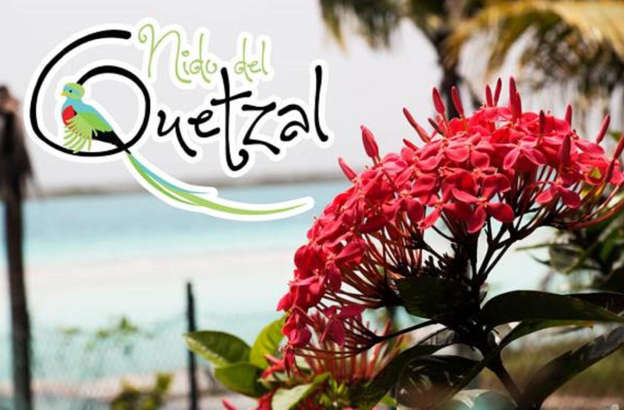 Nido Del Quetzal Hotel Bacalar Buitenkant foto
